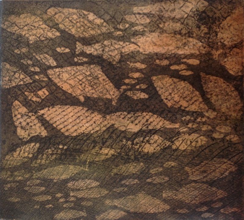 105 etching fish in a net  150.00 1.jpg