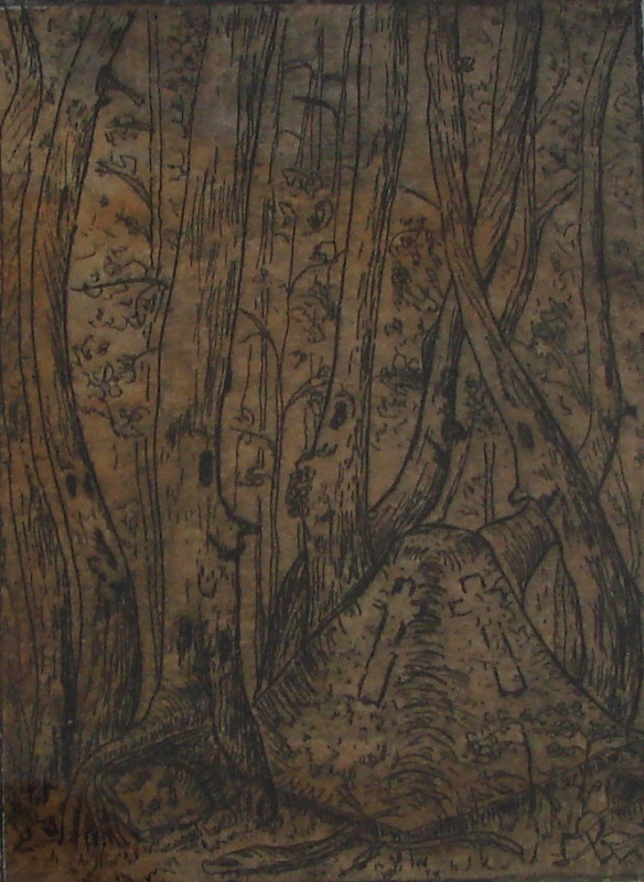 21 etching enchanted forest1.jpg