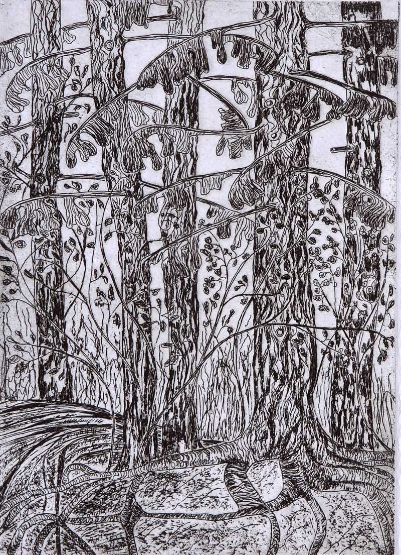 405 etching. forest.jpg