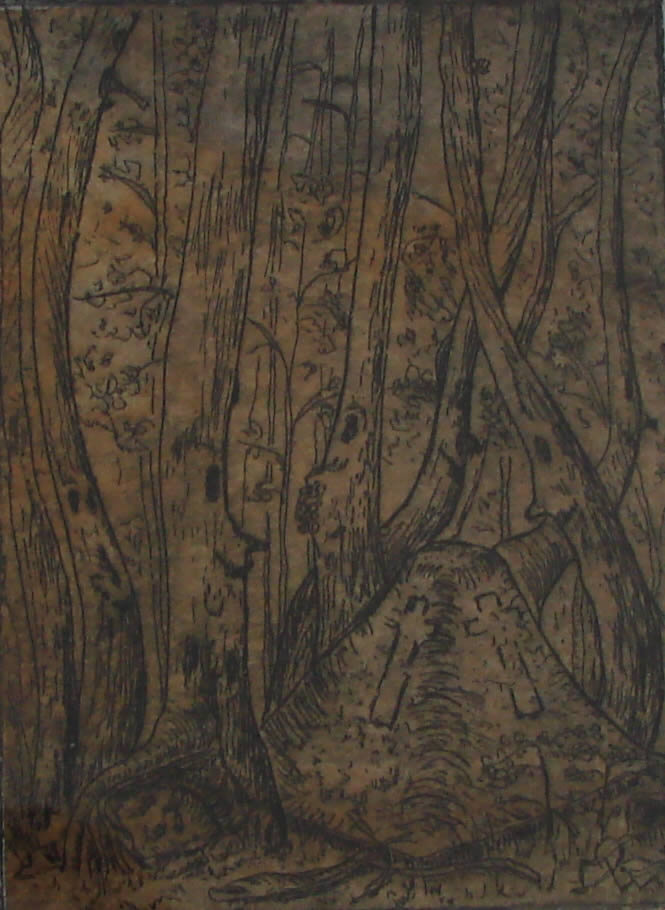 460 etching enchanted forest.jpg