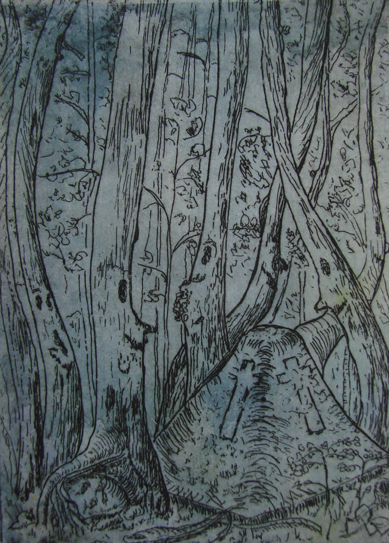 461 etching enchated forest.jpg