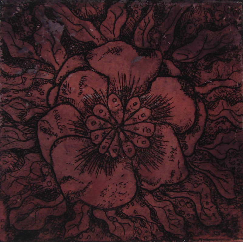 472 etching minature rose.jpg